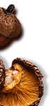 nuts